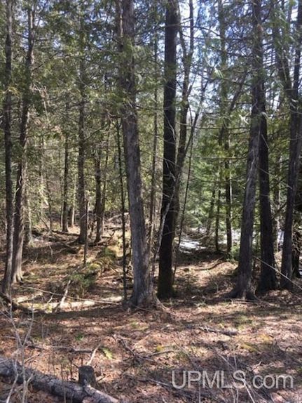 Farm Property for sale in Iron County, Michigan
