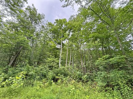 Ranch Property for sale in Summers County, West Virginia