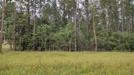 Recreational Property for sale in Pearl River County, Mississippi