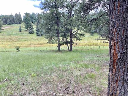 Farm Property for sale in Colfax County, New Mexico