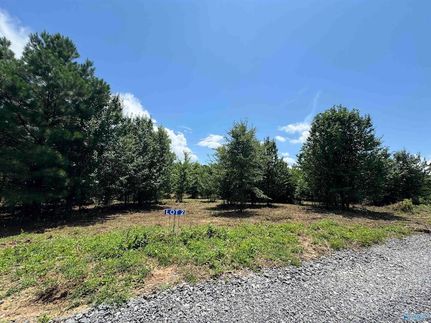 Recreational Property for sale in Marshall County, Alabama