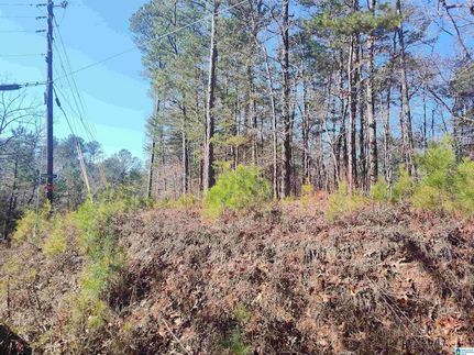 Farm Property for sale in Coosa County, Alabama
