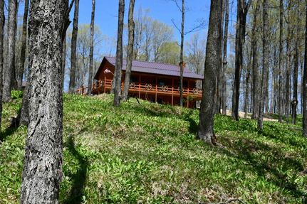 Farm Property for sale in Dickinson County, Michigan