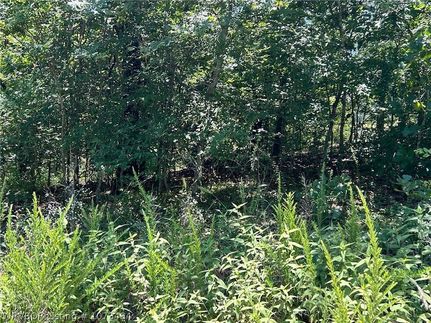 Recreational Property for sale in Cherokee County, Oklahoma