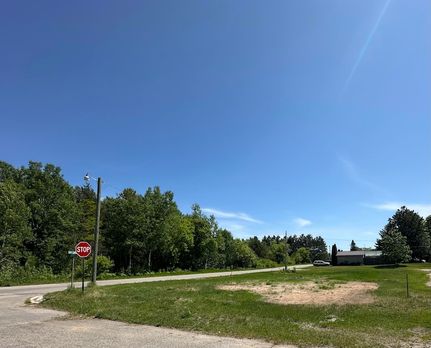 Farm Property for sale in Luce County, Michigan