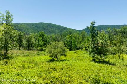 Undeveloped Land for sale in Greene County, New York