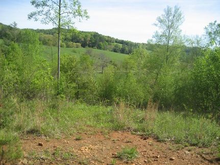 Farm Property for sale in Carroll County, Virginia