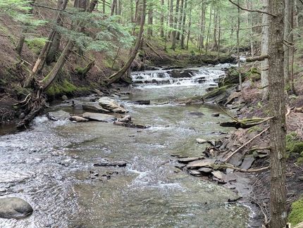 Farm Property for sale in Washington County, Vermont