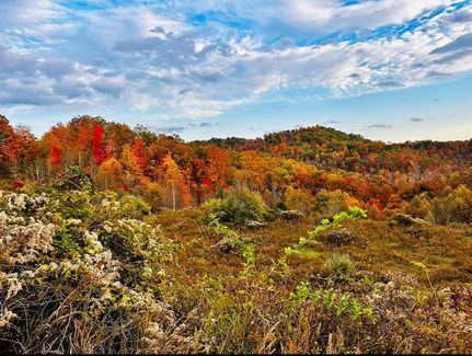 Ranch Property for sale in Magoffin County, Kentucky