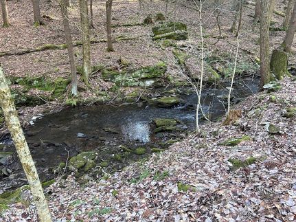 Ranch Property for sale in Wayne County, Pennsylvania
