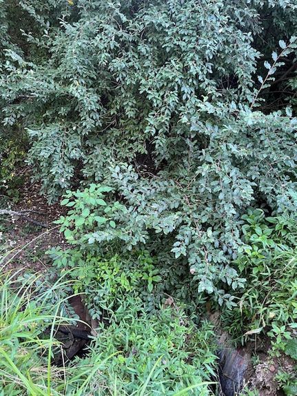 Farm Property for sale in Knox County, Kentucky