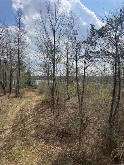 Farm Property for sale in Hempstead County, Arkansas