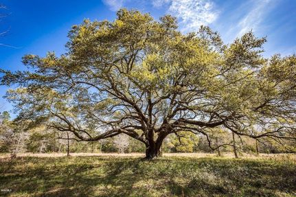 Farm Property for sale in Jackson County, Mississippi