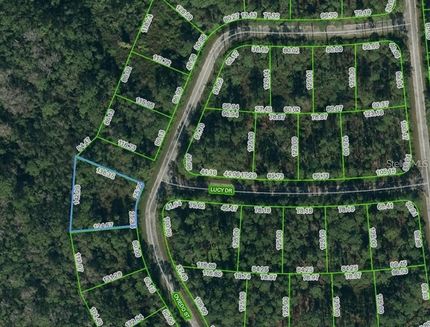 Farm Property for sale in Highlands County, Florida