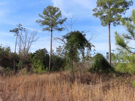 Ranch Property for sale in Fairfield County, South Carolina