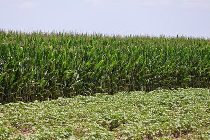 Property for sale in Castro County, Texas