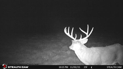 Ranch Property for sale in Richland County, Wisconsin