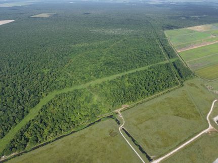 Farm Property for sale in Pointe Coupee Parish, Louisiana