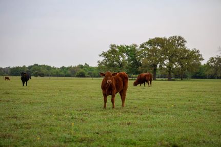 Farm Property for sale in Milam County, Texas