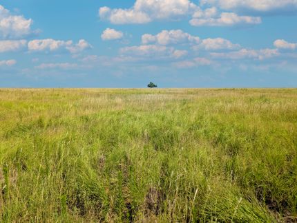 Farm Property for sale in Bailey County, Texas