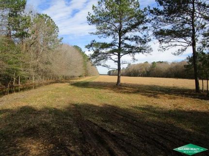 Undeveloped Land for sale in Hardin County, Texas