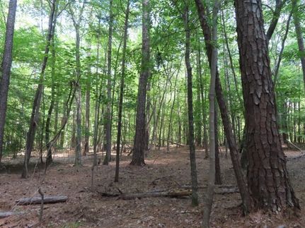 Ranch Property for sale in Fairfield County, South Carolina