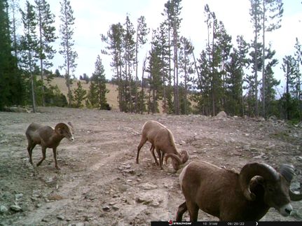Farm Property for sale in Broadwater County, Montana