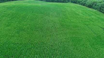 Farm Property for sale in Holt County, Missouri