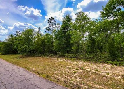 Property for sale in Washington County, Florida