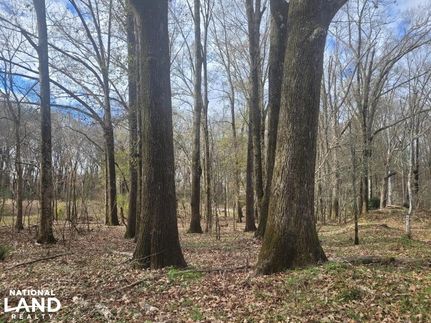 Property for sale in Montgomery County, Alabama