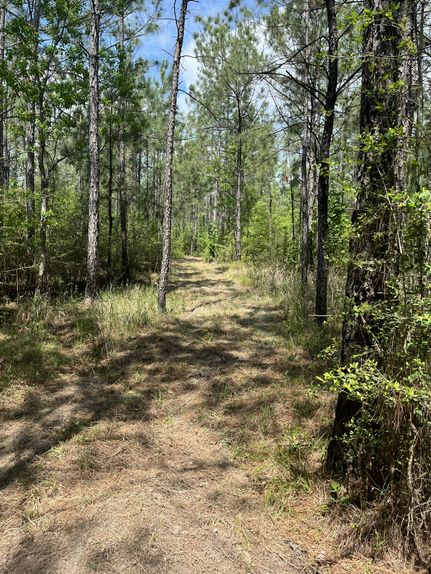 Farm Property for sale in Rapides Parish, Louisiana