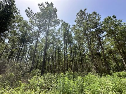 Farm Property for sale in Sabine County, Texas