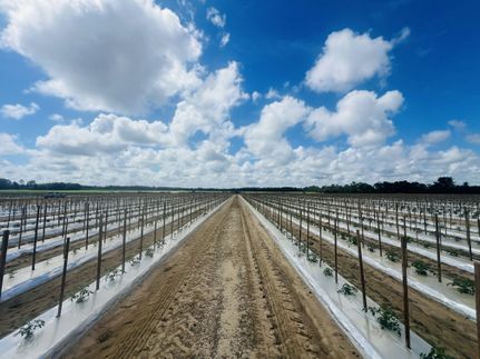 Farm Property for sale in Decatur County, Georgia
