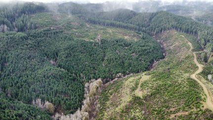 Undeveloped Land for sale in Lincoln County, Oregon