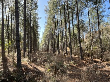 Farm Property for sale in Randolph County, Georgia