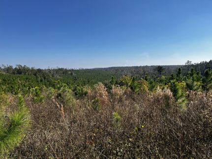 Farm Property for sale in Jackson County, Florida
