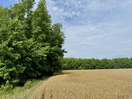 Recreational Property for sale in Florence County, South Carolina