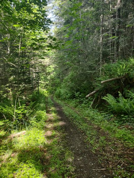 Farm Property for sale in Clallam County, Washington