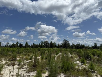 Timberland Property for sale in Jackson County, Florida