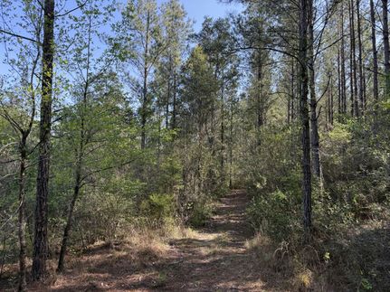 Residential Property for sale in Washington County, Florida