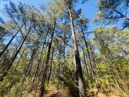Farm Property for sale in Dooly County, Georgia