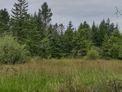 Recreational Property for sale in Clallam County, Washington