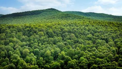 Farm Property for sale in Essex County, Vermont