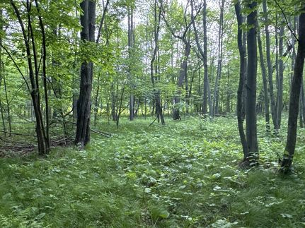 Ranch Property for sale in Burnett County, Wisconsin