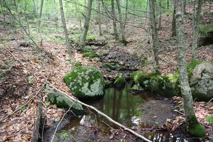Ranch Property for sale in Warren County, New York