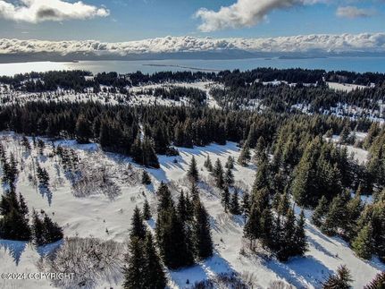Farm Property for sale in Kenai Peninsula Borough, Alaska