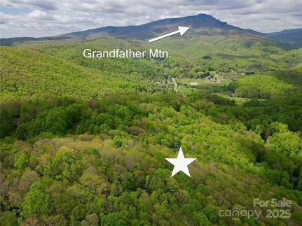 Undeveloped Land for sale in Watauga County, North Carolina