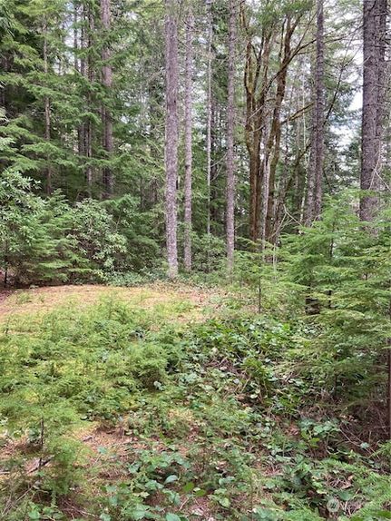 Recreational Property for sale in Mason County, Washington