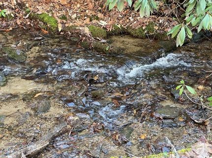 Farm Property for sale in Swain County, North Carolina