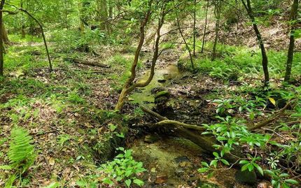 Ranch Property for sale in Union County, Georgia